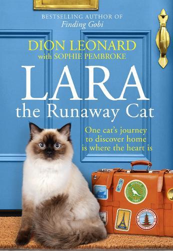 Lara The Runaway Cat: One Cat's Journey to Discover Home is Where the Heart is