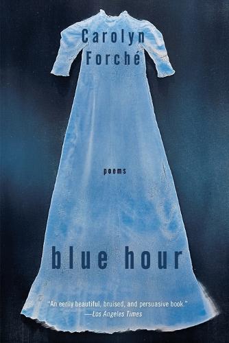 Blue Hour: Poems