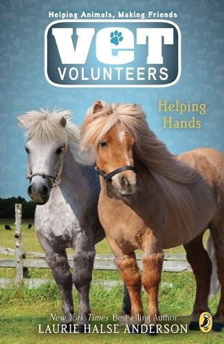 Vet Volunteers 15 Helping Hands