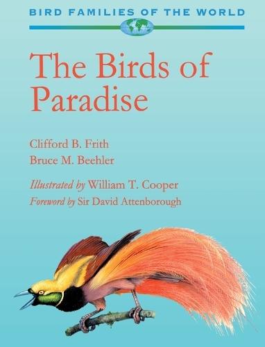 Birds of Paradise: Paradisaeidae
