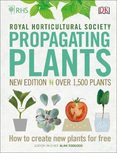 Propagating Plants: How to Create New Plants For Free