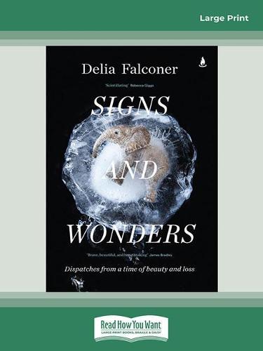 Signs and Wonders: Dispatches from a time of beauty and loss