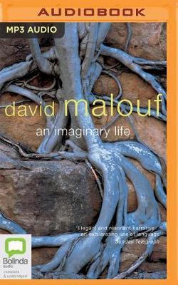 An Imaginary Life