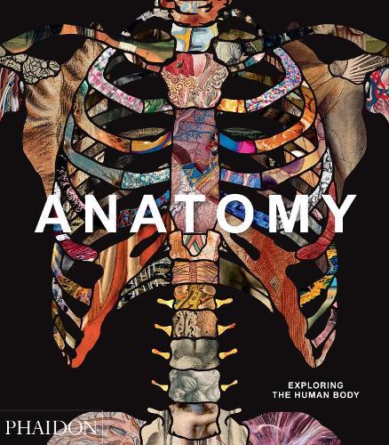 Anatomy, Exploring the Human Body