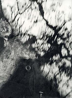 Michael Light: 'Ranch'