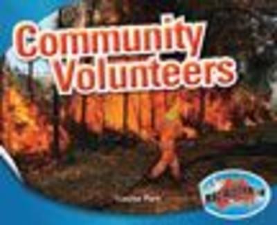 Social Systems and Structures Lower: Community Workers