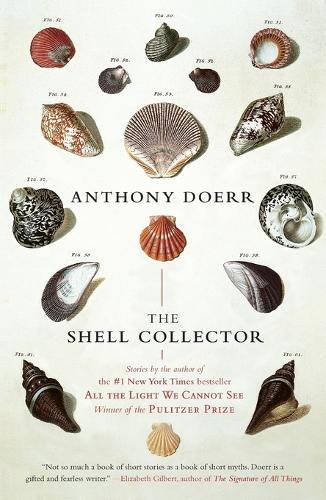 The Shell Collector: Stories