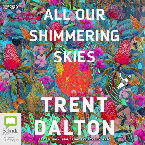 All Our Shimmering Skies
