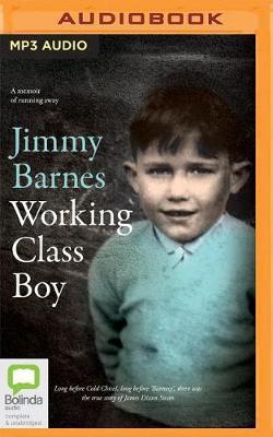 Working Class Boy