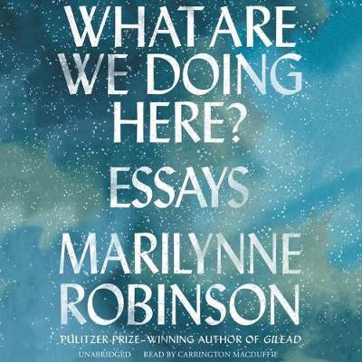 What Are We Doing Here?: Essays