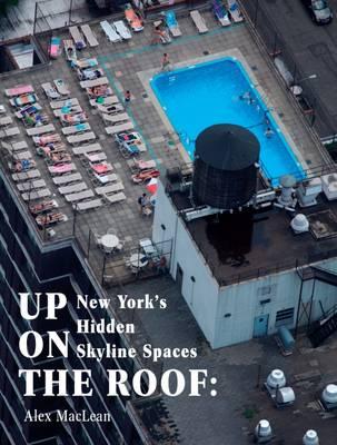 Up on the Roof: New York's Hidden Skyline Spaces
