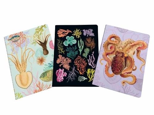 Art of Nature: Under the Sea Sewn Notebook Collection