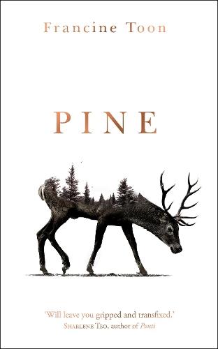 Pine