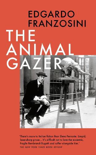 The Animal Gazer