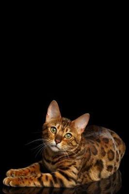 Bengal Cat Notebook: Dot Grid Journal, Softcover (6x9 Inches) with 120 Pages