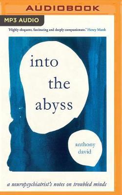 Into the Abyss: A neuropsychiatrist's notes on troubled minds