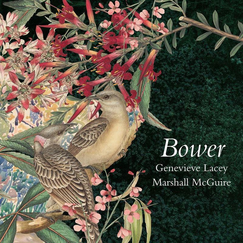 Bower: Music for Recorder & Harp
