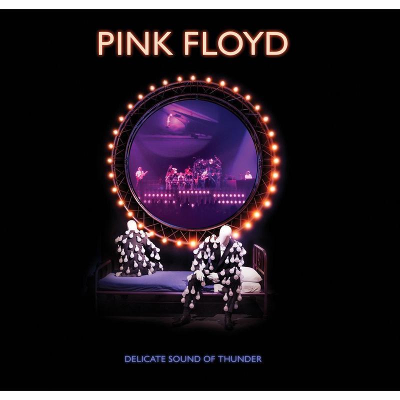 Delicate Sound of Thunder (DVD)