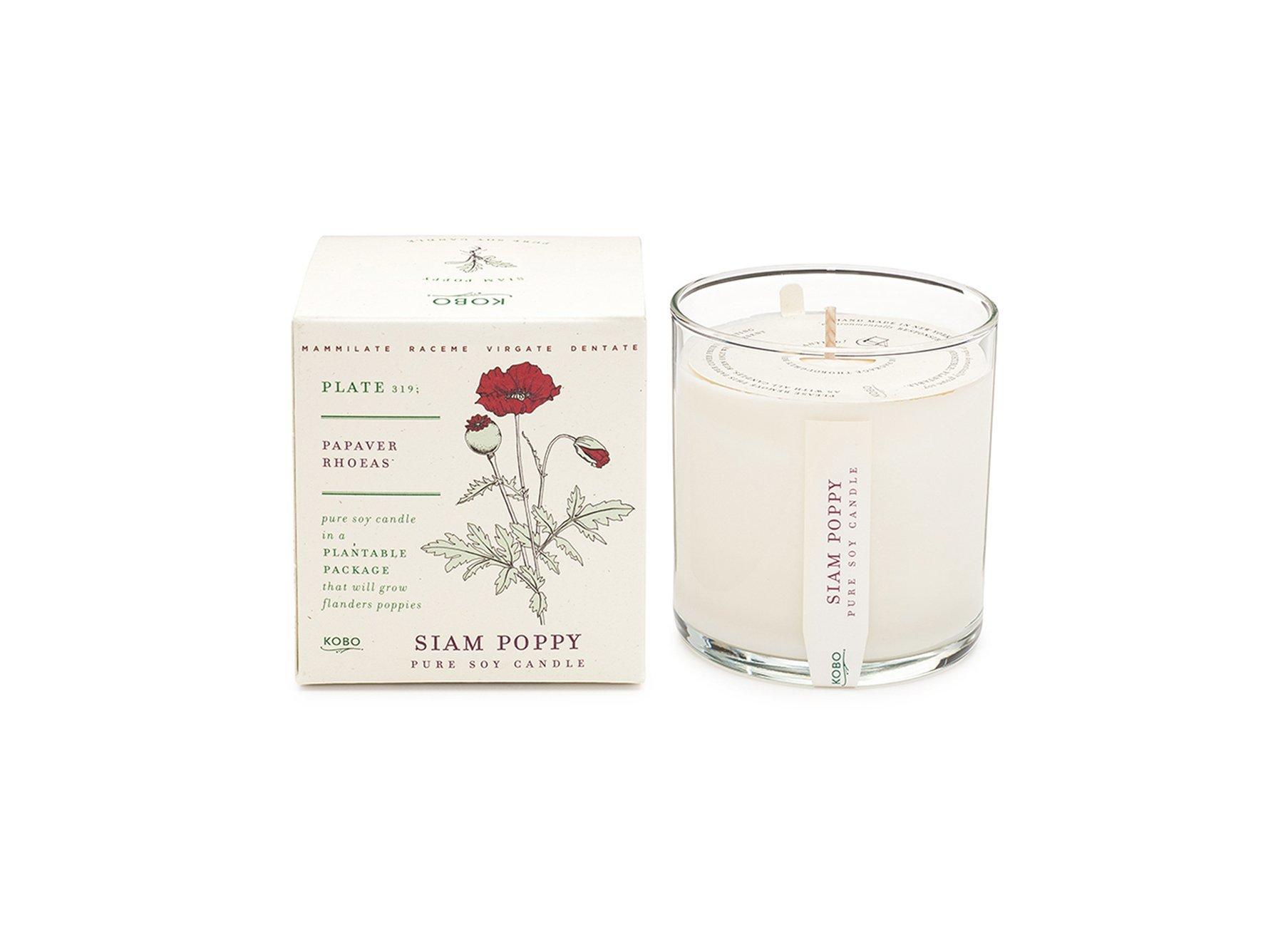 Plant the Box Candle: Siam Poppy