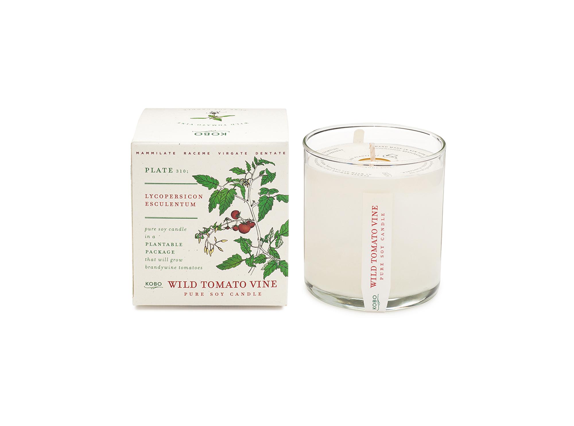 Plant the Box Candle: Wild Tomato Vine