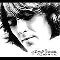 Let It Roll Songs Of George Harrison