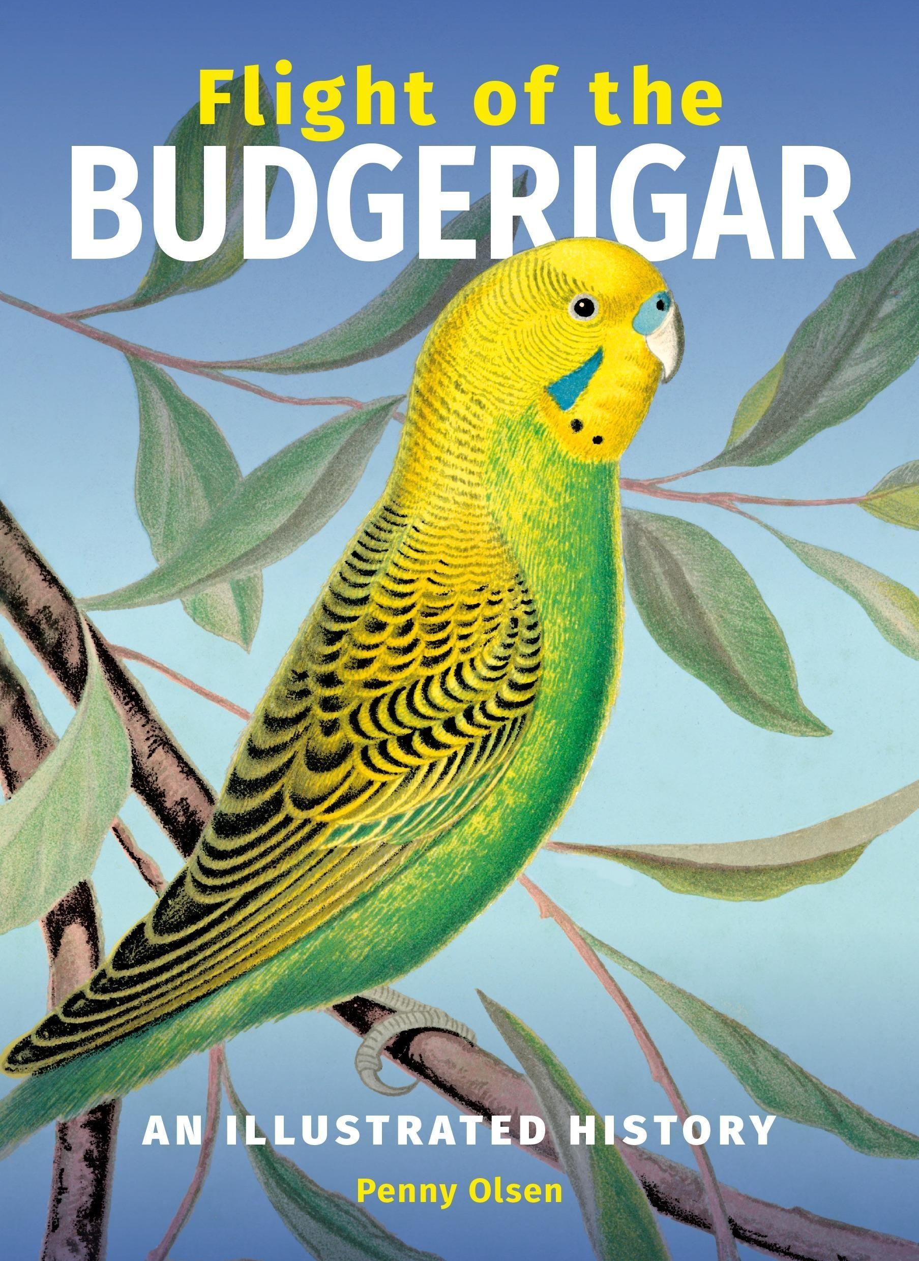 Flight of the Budgerigar: An Illustrated History