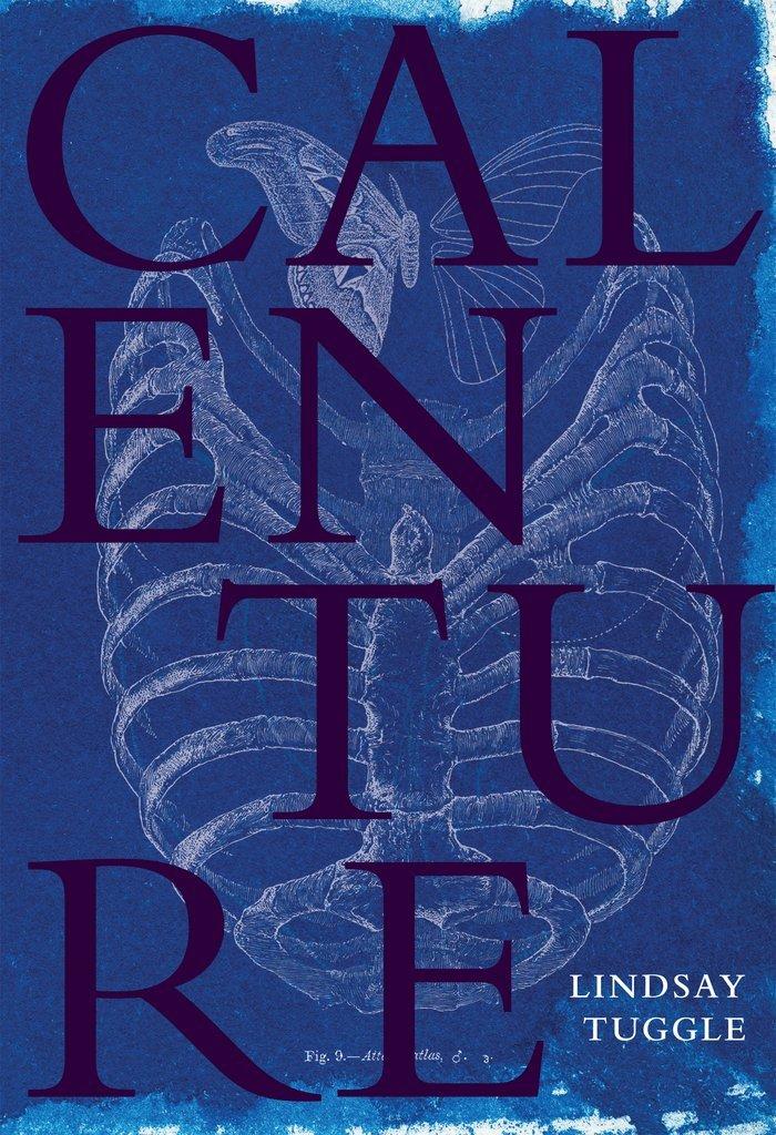 Calenture