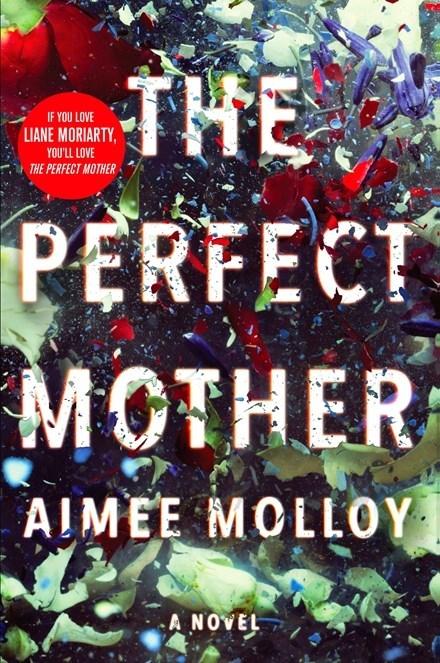 The Perfect Mother