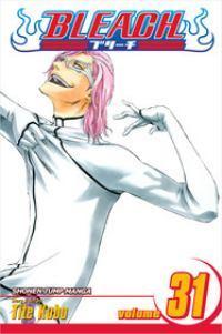 Bleach, Vol. 31