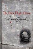 The Dark Flight Down