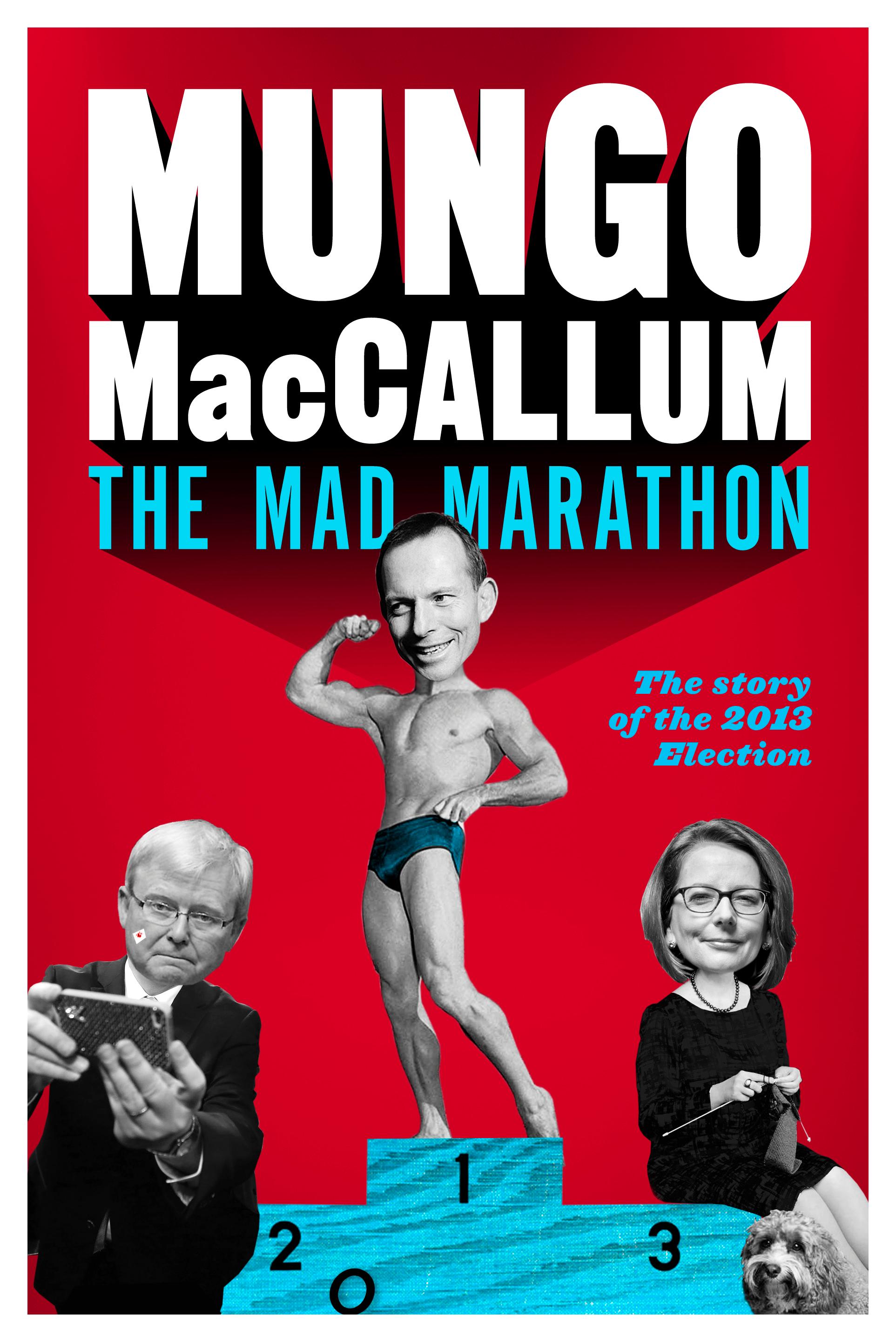 The Mad Marathon: The Story of the 2013 Election